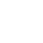 Bruins