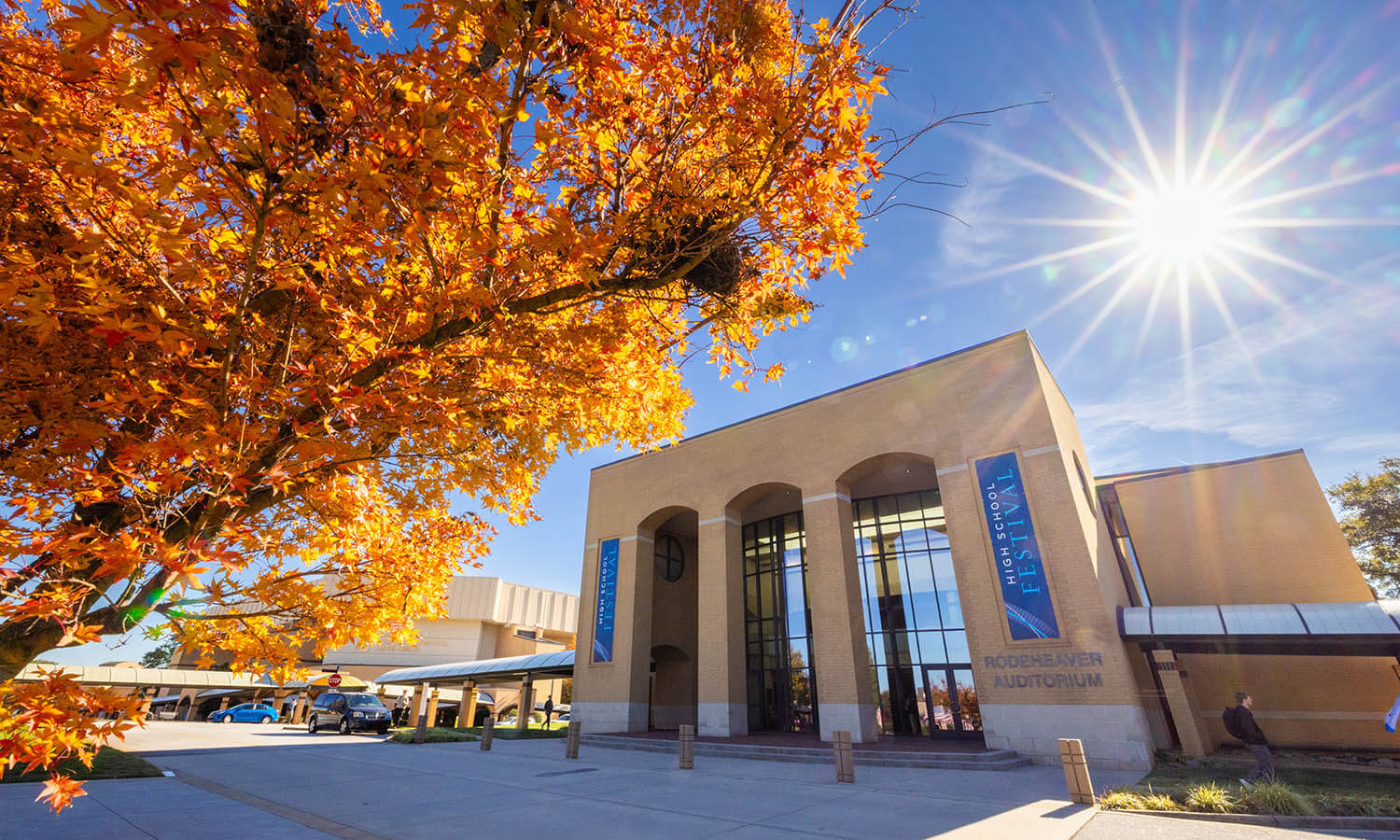 Fall foliage at Bob Jones University, Greenville, S.C., on Monday, Nov. 5, 2025. (Photo by Derek Eckenroth)
