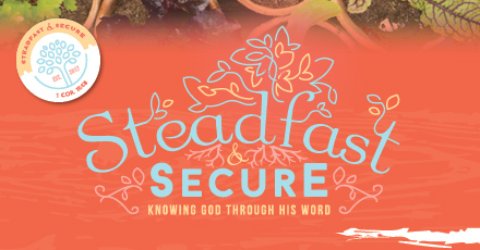 Steadfast & Secure