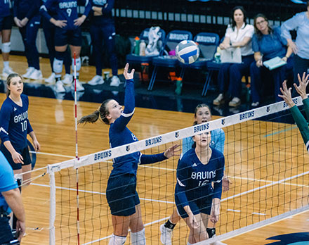 Bruins volleyball