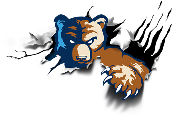 Bruins logo